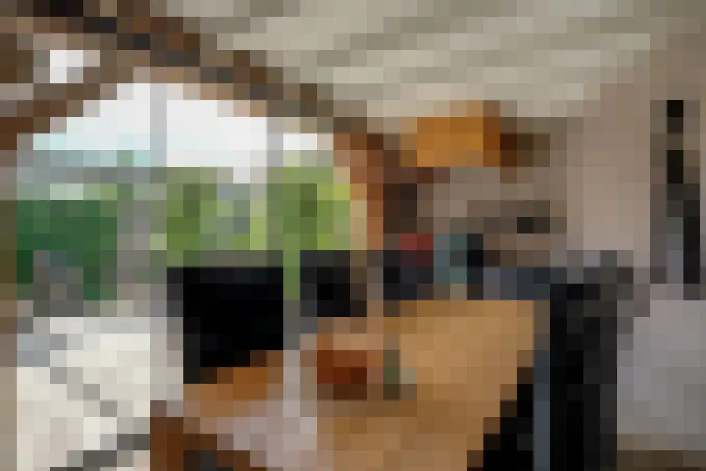 Kamille 32 Opmeer thumbnail 43
