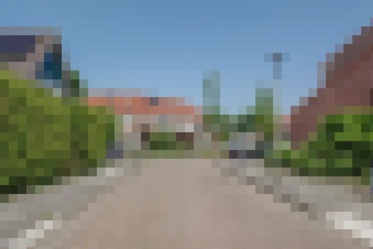 Kamille 32 Opmeer thumbnail 45