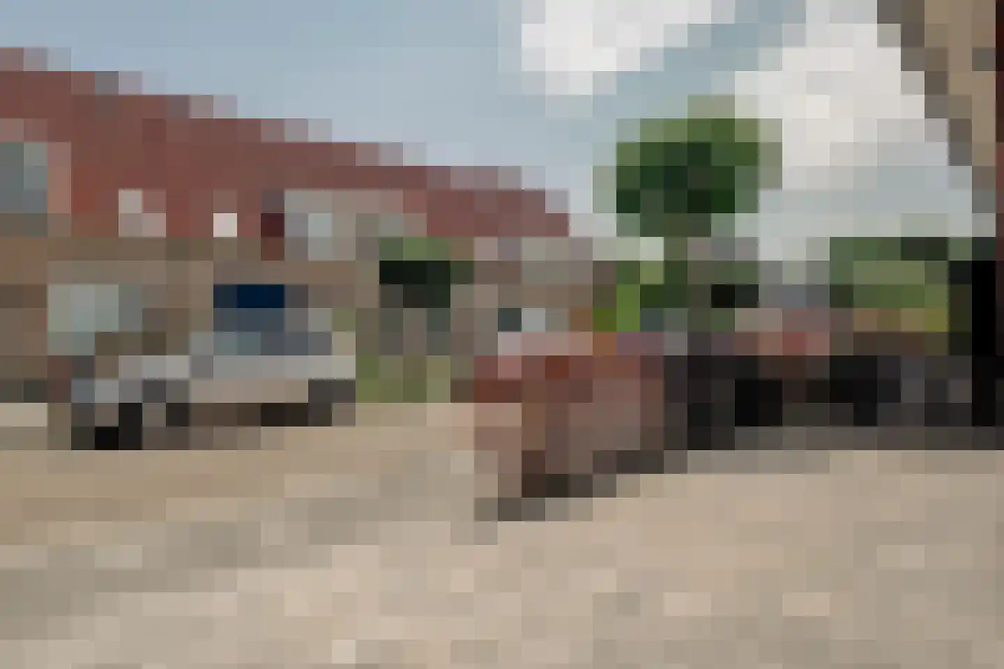 Kamille 32 Opmeer thumbnail 46