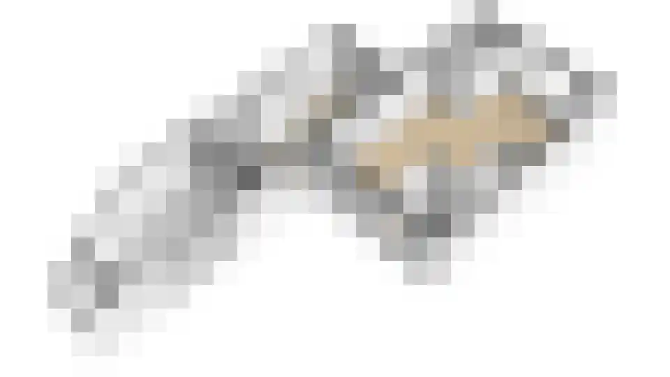 Kamille 32 Opmeer thumbnail 48