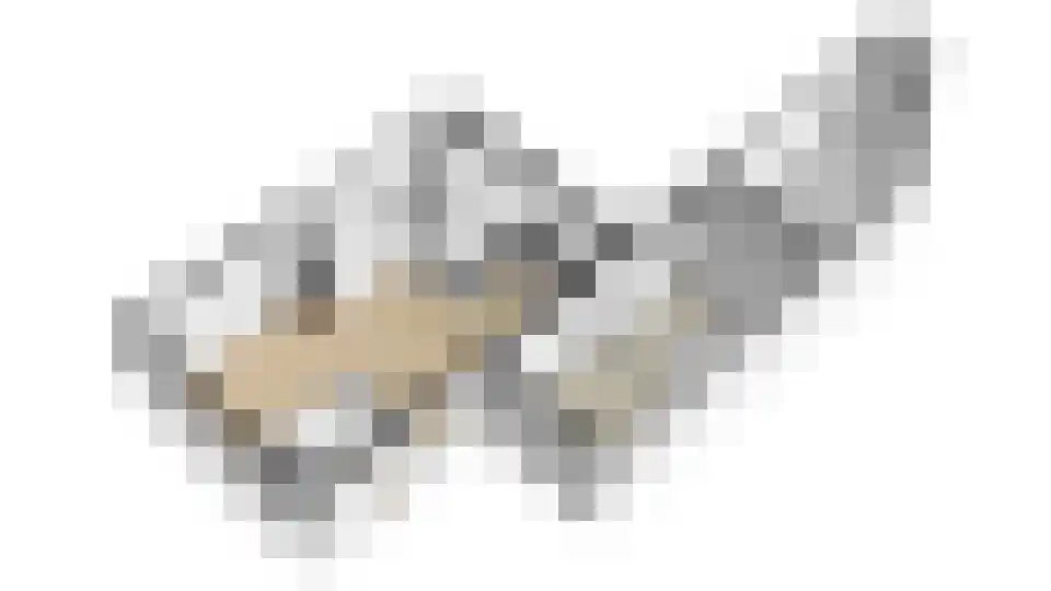 Kamille 32 Opmeer thumbnail 49