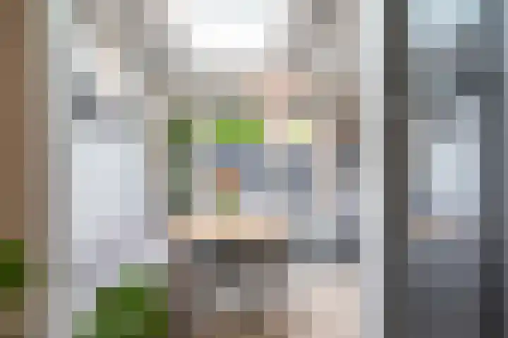 Kamille 33 Roden thumbnail 13