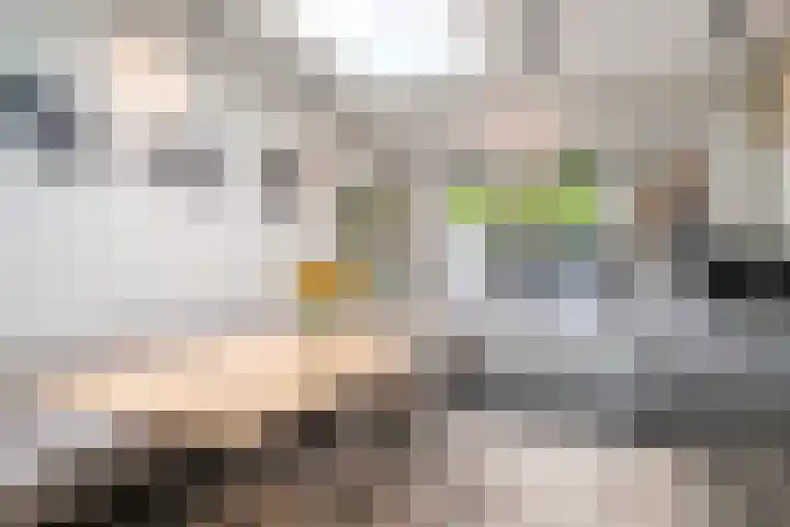 Kamille 33 Roden thumbnail 15