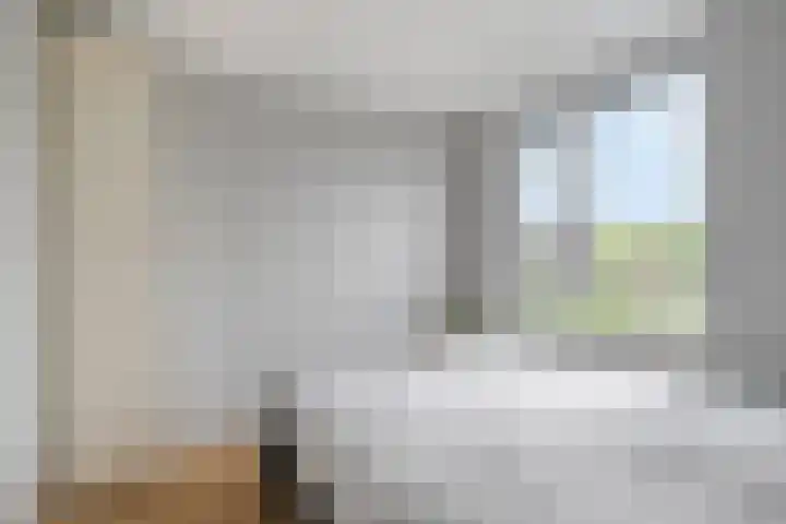 Kamille 33 Roden thumbnail 24