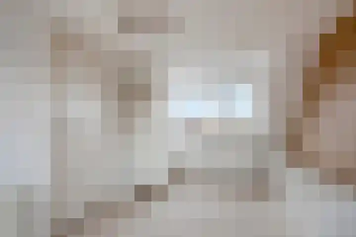 Kamille 33 Roden thumbnail 31