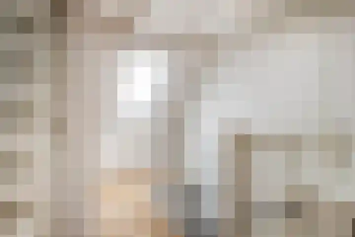 Kamille 33 Roden thumbnail 33