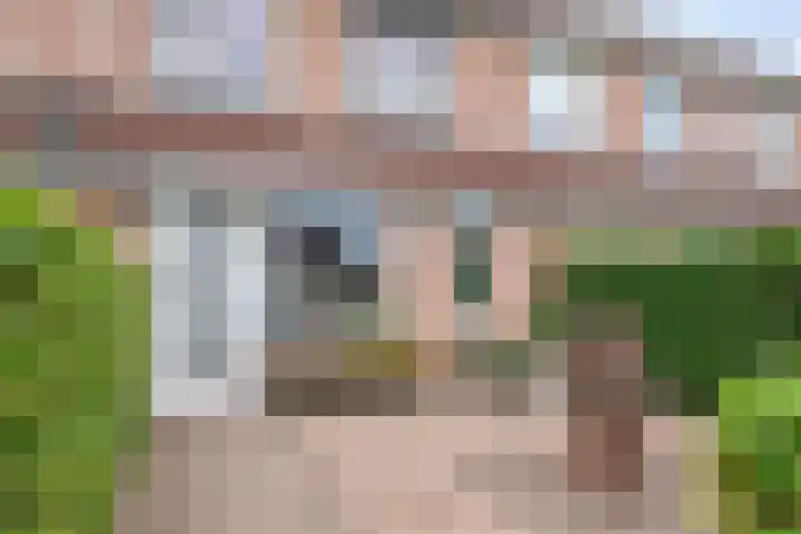 Kamille 33 Roden thumbnail 39