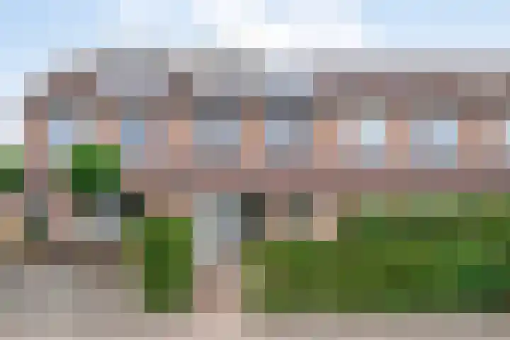 Kamille 33 Roden thumbnail 40