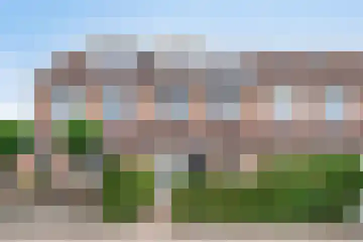 Kamille 33 Roden thumbnail 49
