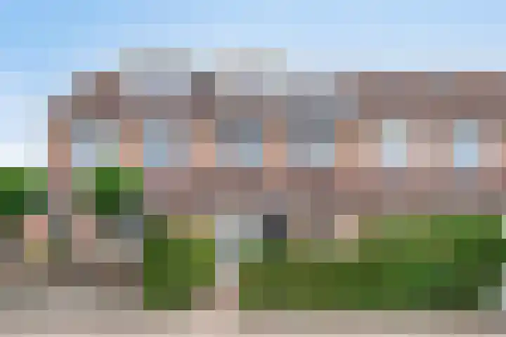 Kamille 33 Roden thumbnail 6