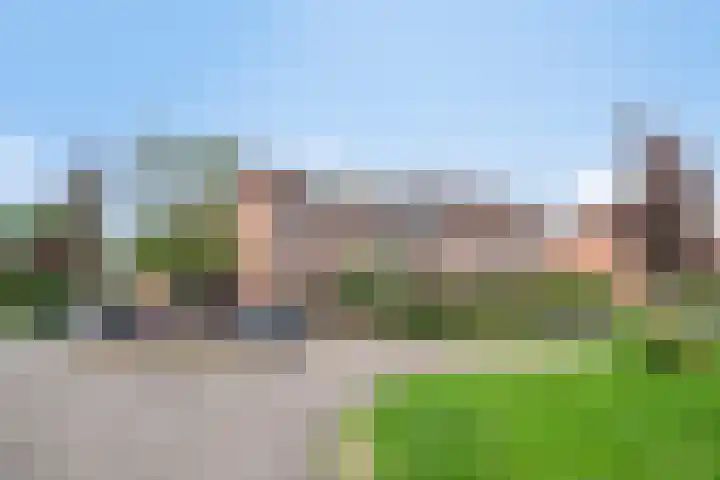 Kamille 33 Roden thumbnail 7