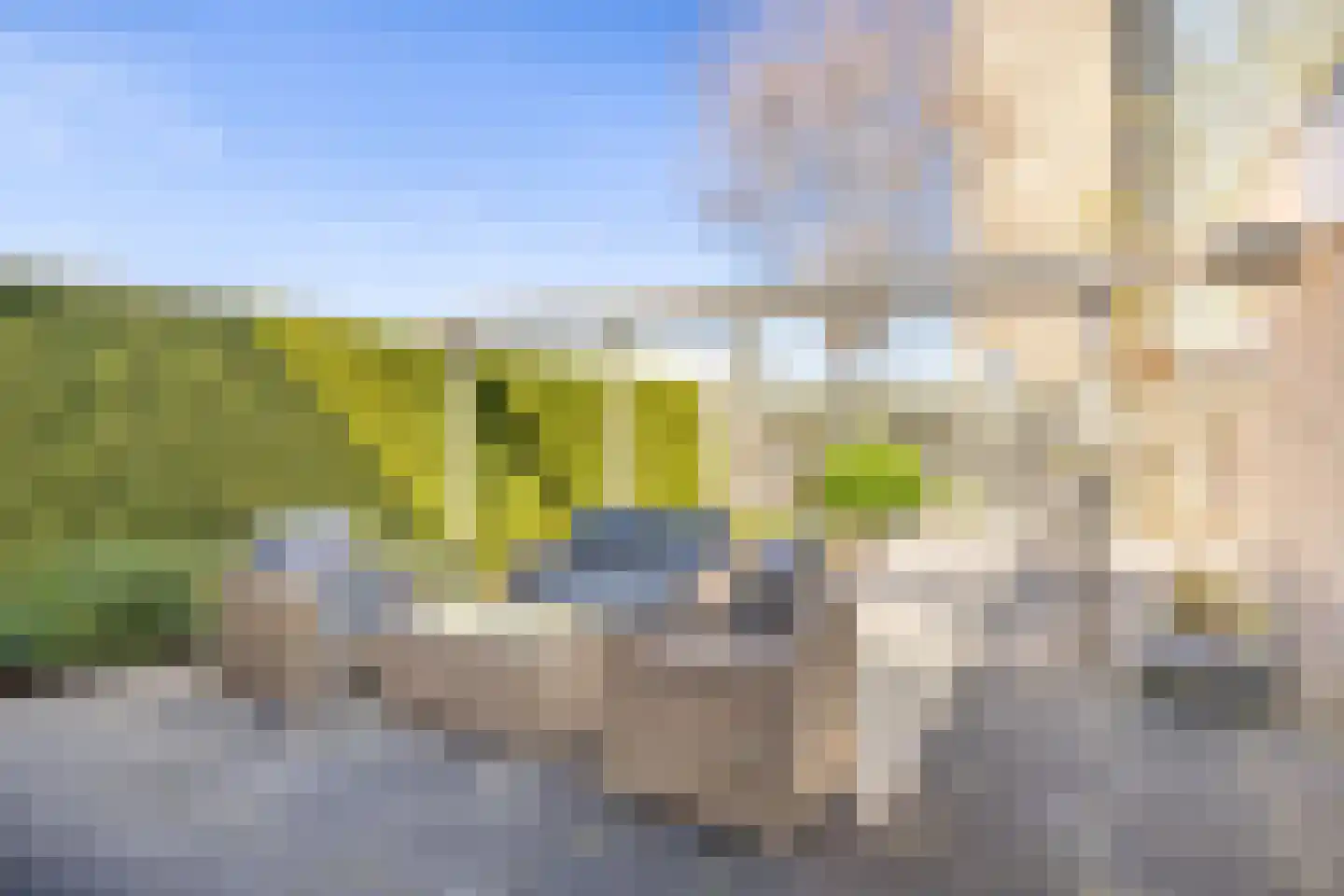 Kamille 34 Kampen thumbnail 34