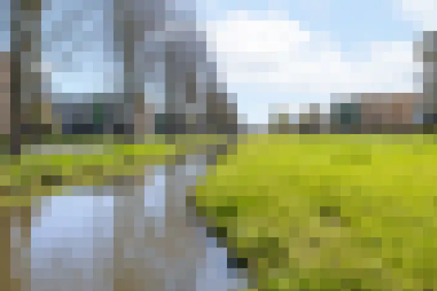 Kamille 34 Kampen thumbnail 37