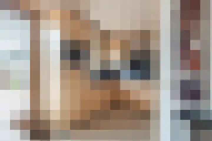Kamille 35 Eemnes thumbnail 15