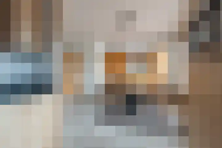 Kamille 35 Eemnes thumbnail 20