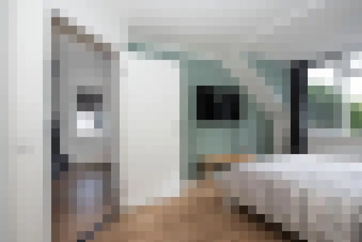 Kamille 39 Delden thumbnail 24