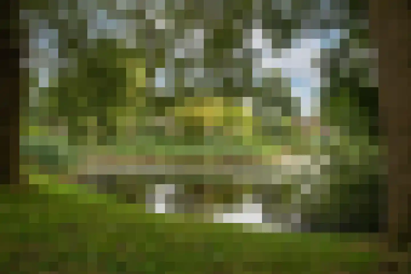 Kamille 39 Delden thumbnail 41