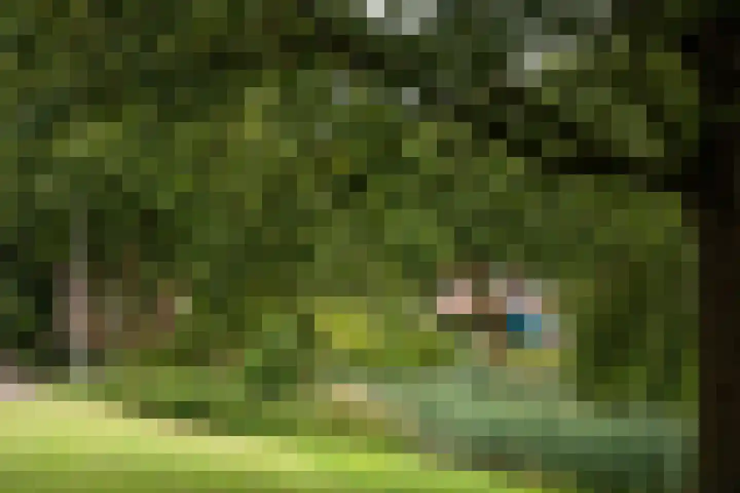 Kamille 39 Delden thumbnail 42