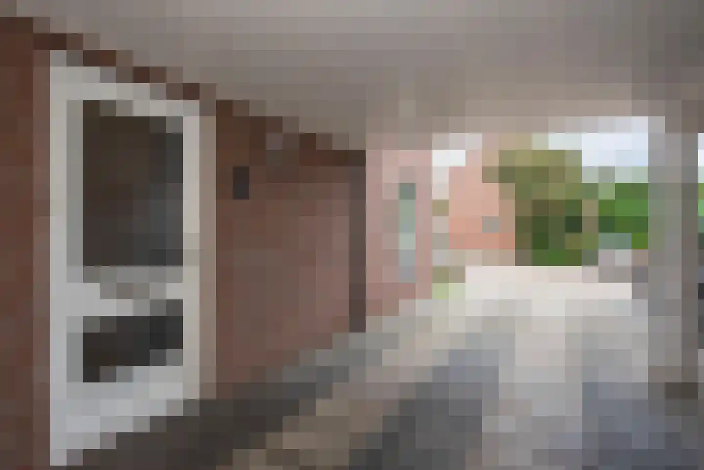 Kamille 39 Delden thumbnail 7