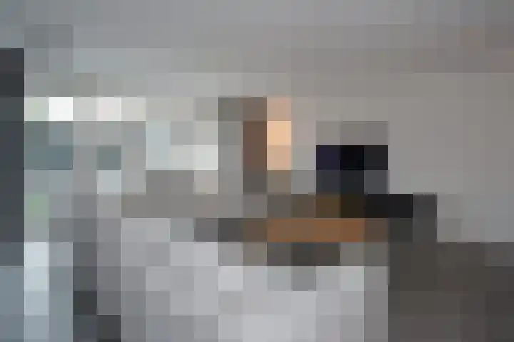Kamille 4 Drachten thumbnail 11