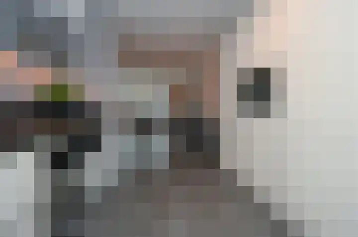 Kamille 4 Drachten thumbnail 13