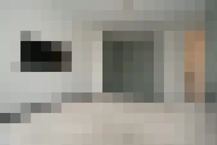Kamille 4 Drachten thumbnail 18