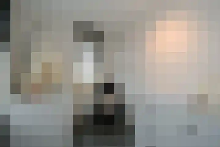 Kamille 4 Drachten thumbnail 22