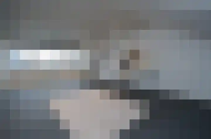 Kamille 4 Drachten thumbnail 34