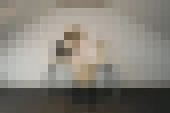 Kamille 4 Drachten thumbnail 36