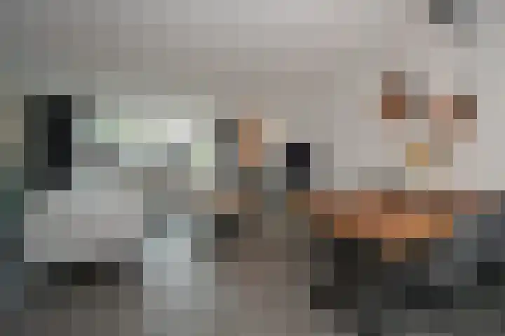 Kamille 4 Drachten thumbnail 4