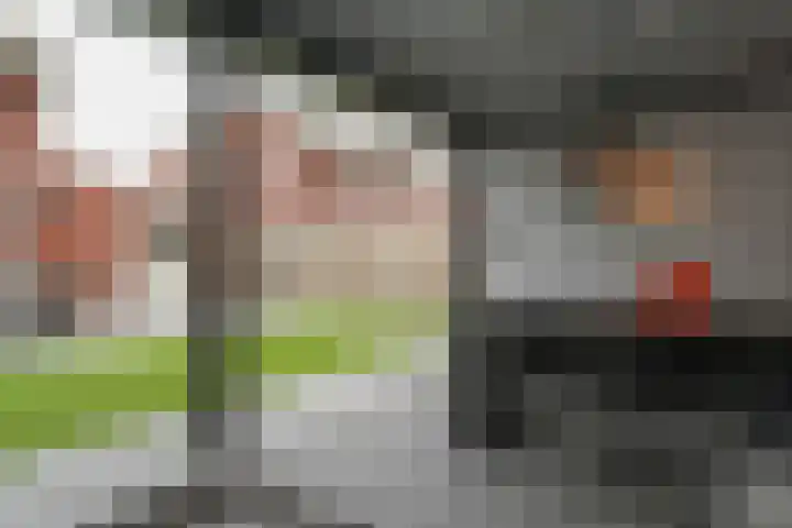 Kamille 4 Drachten thumbnail 42