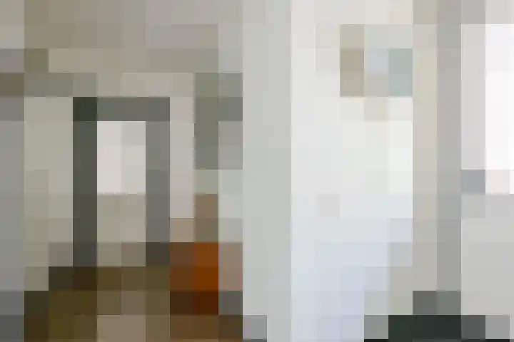 Kamille 4 Middenmeer thumbnail 10