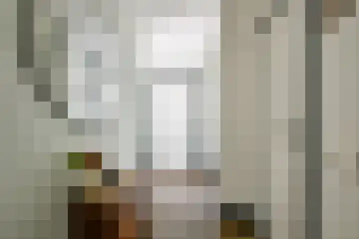 Kamille 4 Middenmeer thumbnail 15