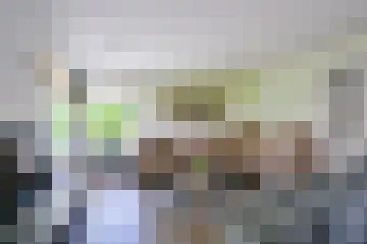Kamille 4 Middenmeer thumbnail 16