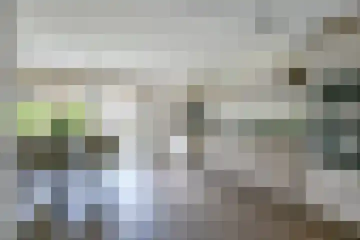 Kamille 4 Middenmeer thumbnail 18