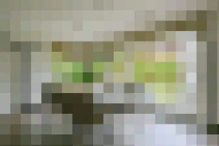 Kamille 4 Middenmeer thumbnail 20