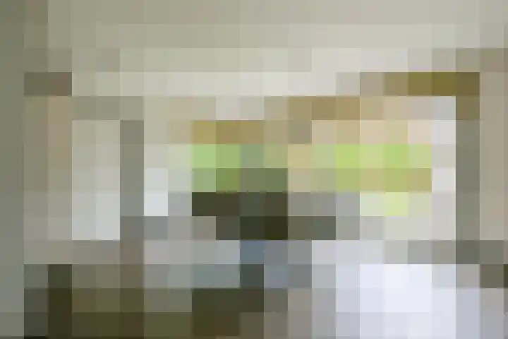 Kamille 4 Middenmeer thumbnail 21