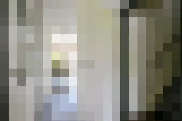 Kamille 4 Middenmeer thumbnail 24