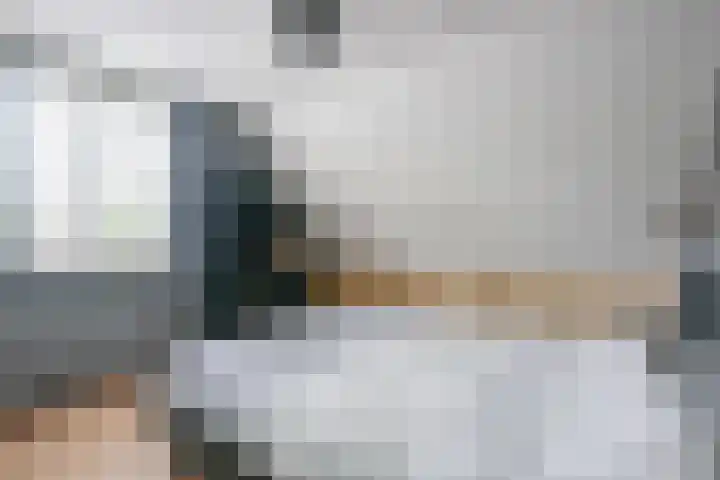 Kamille 4 Middenmeer thumbnail 25