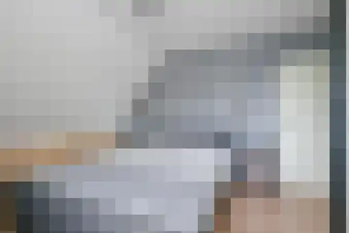 Kamille 4 Middenmeer thumbnail 26