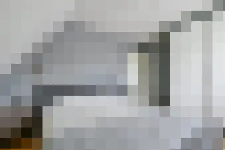 Kamille 4 Middenmeer thumbnail 27