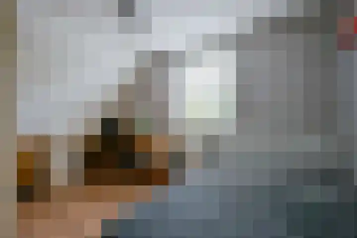 Kamille 4 Middenmeer thumbnail 28