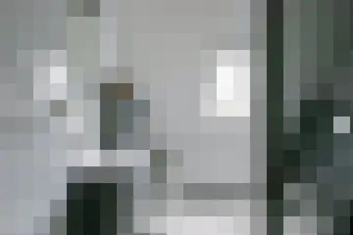 Kamille 4 Middenmeer thumbnail 31