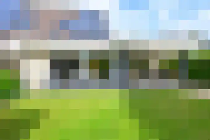 Kamille 4 Middenmeer thumbnail 4