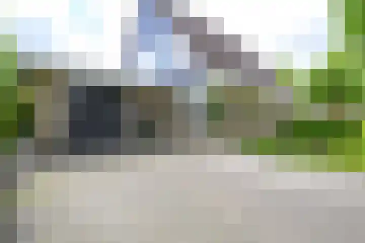 Kamille 4 Middenmeer thumbnail 41