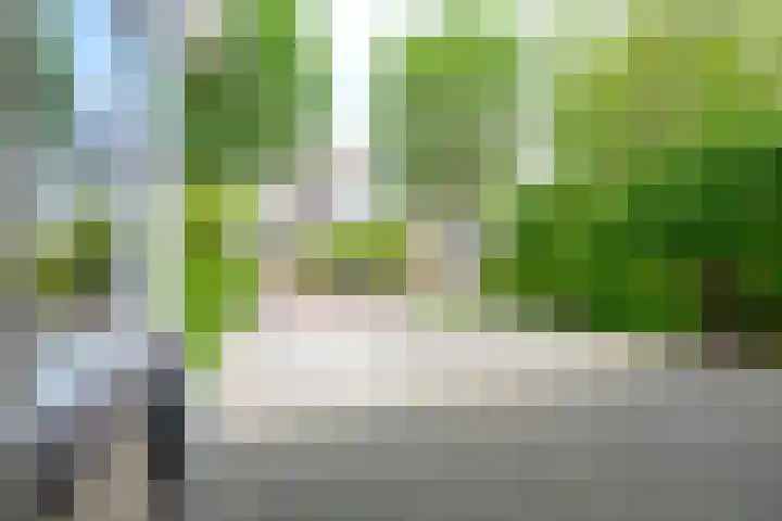 Kamille 4 Middenmeer thumbnail 42