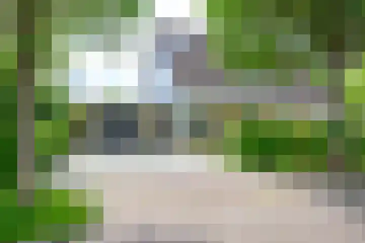 Kamille 4 Middenmeer thumbnail 45