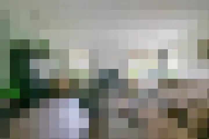 Kamille 4 Middenmeer thumbnail 5