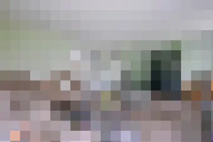 Kamille 4 Middenmeer thumbnail 6