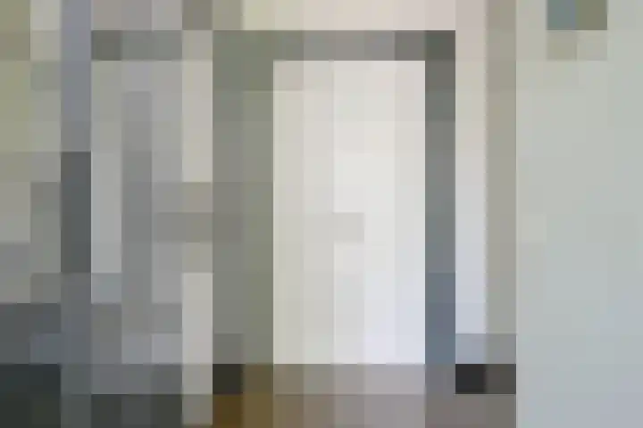 Kamille 4 Middenmeer thumbnail 8